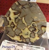 Septarian Calcite Slab--Green Dragon - Product Image